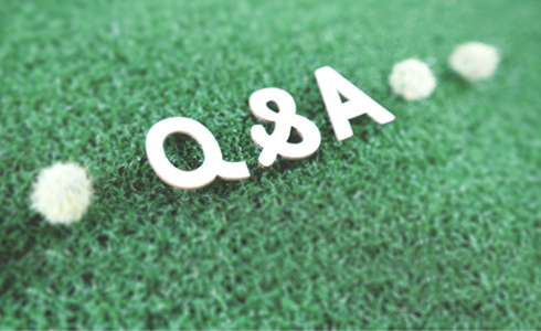 Q&A