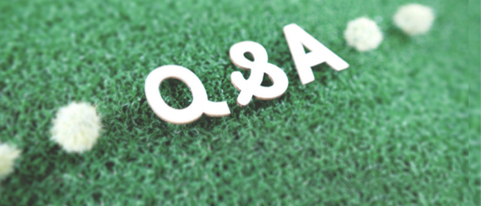 Q&A